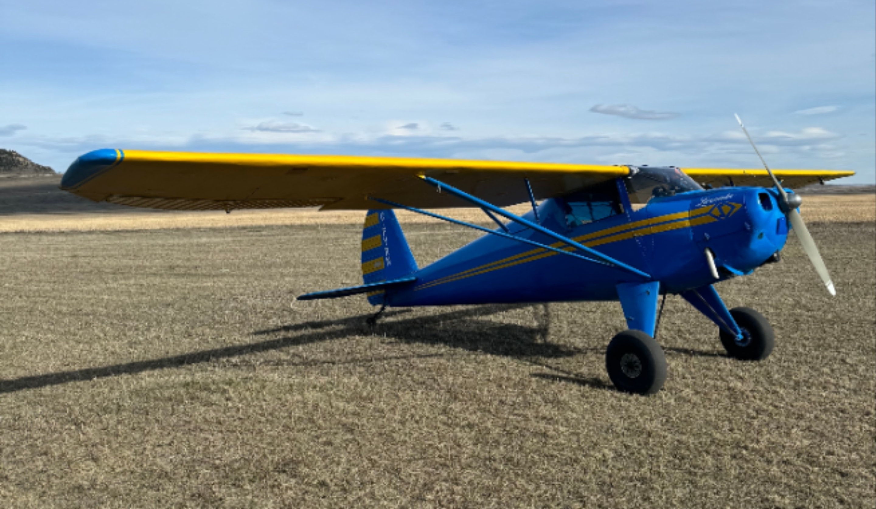 Luscombe Rental